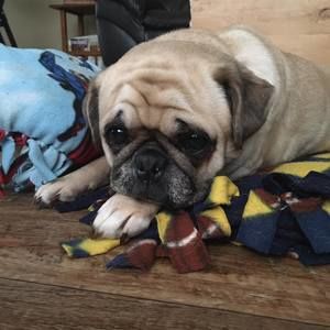 Meet your Posher, Lori